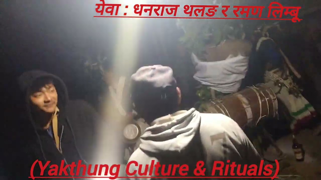 Yeba/येवा/बिजुवा/Bijuwa धनराज थलङ/Dhanaraj Thalang/येवा कान्छा/Yeba Kanchha सोघा बाटो लगाउने क्रममा!
