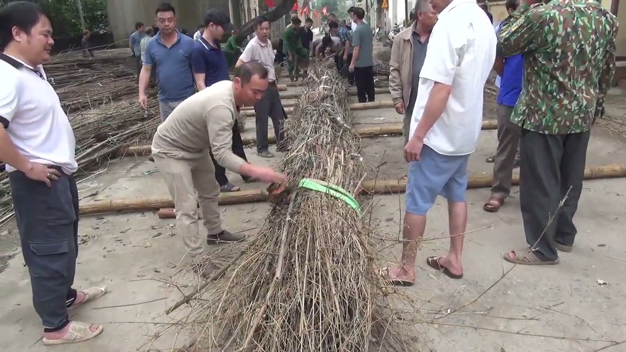  Lễ hội đình làng tường phiêu , Cả xóm  gò lốc ra làm cây  đình  điệu  