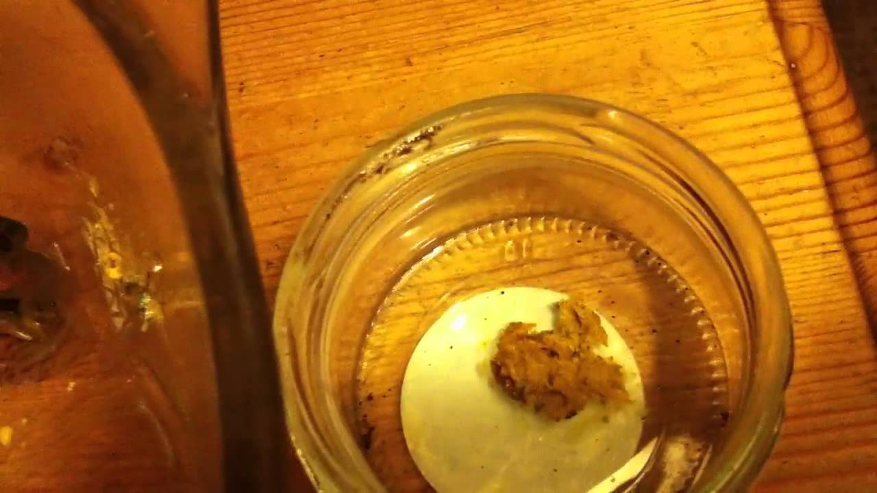 BHO From Jack Herer buds - whipped into budder