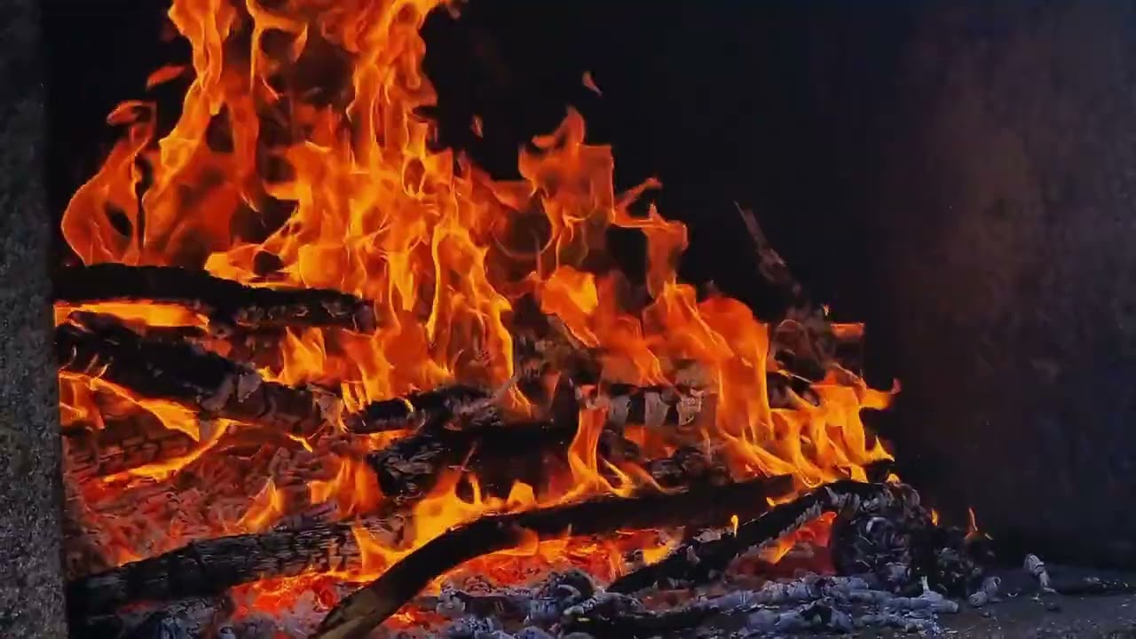 VENHA SE CONECTAR COM DEUS ATRAVÉS DE SEUS SALMOS. SALMOS 11,12,13,14 E 15.