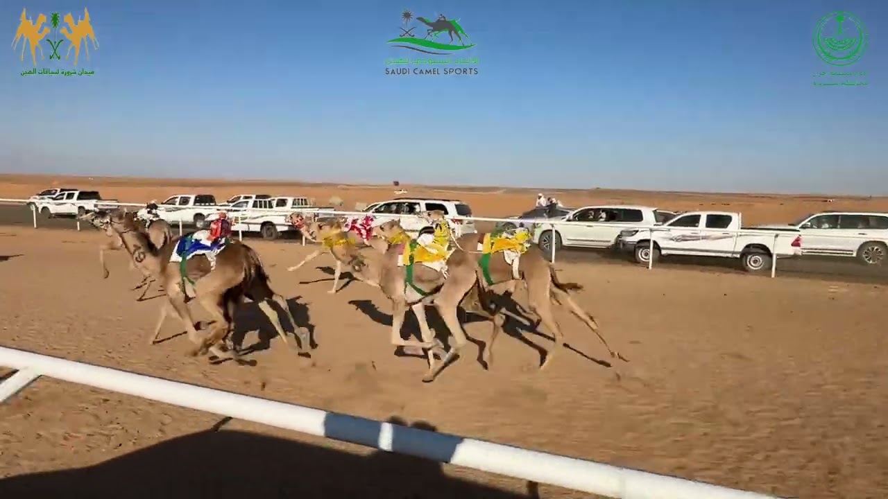 ميدان شرورة - حقايق رئيسي بكار -كاس امارة منطقة نجران + سيارة- مهمة ل نايف مبارك الوارد الصيعري