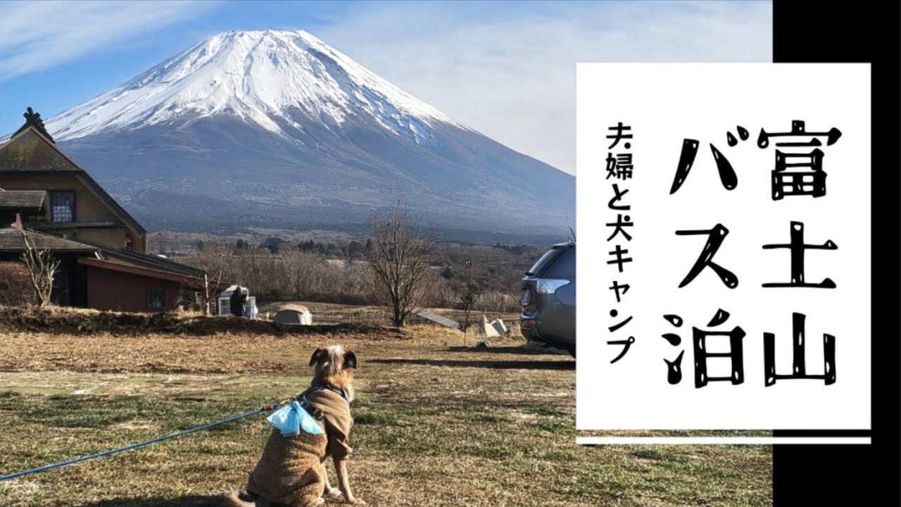 【夫婦と犬キャンプ？】　富士山のふもとでバスで泊まるよ　富士エコパークビレッジ　エコキャンプ場
