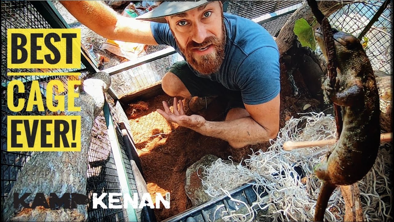 Amazing Lizard Habitat Makeover!