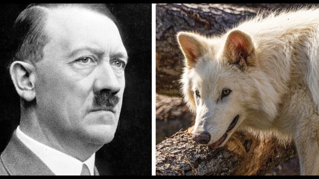 What Was Hitler's Biggest Mistake?