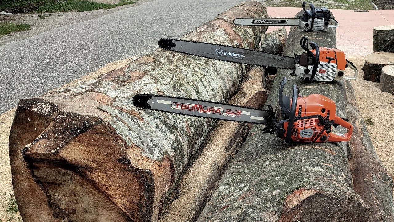 11 Septembrie 2022 - Big chainsaws for big wood (Stihl 084, Husqvarna 585 & FarmerTec G660 Pro)