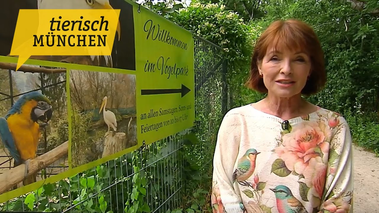 Tierisch München: Der Vogelpark in Olching - Ein Paradies für Vogelfreunde