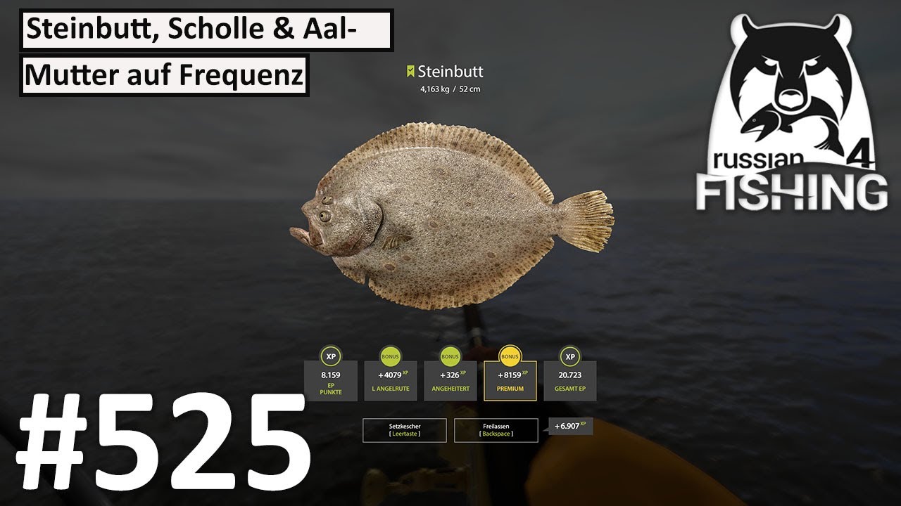 Steinbutt, Scholle & Aalmutter auch ohne Beifänger auf Frequenz | Russian Fishing 4 #525 | UwF