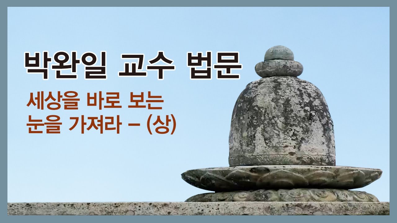 박완일교수 - 세상을 바로 보는 눈을 가져라 - (상)