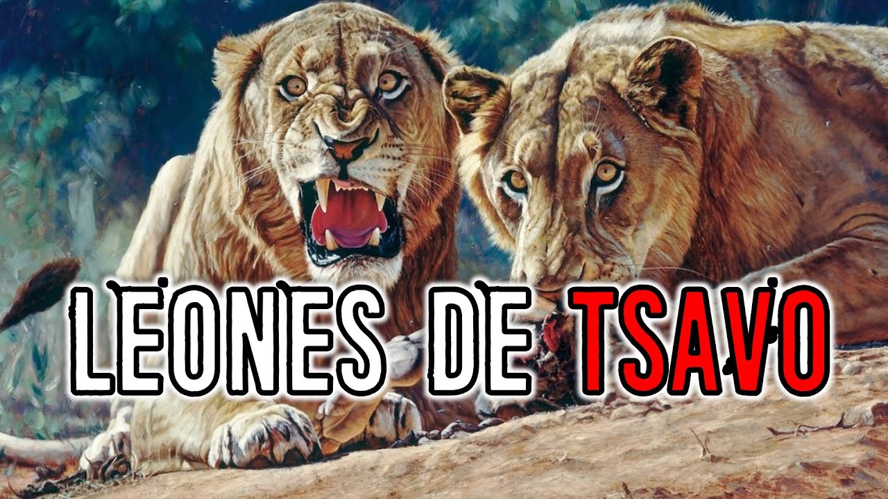 DEVORADORES DE HOMBRES DE TSAVO (CASO REAL) | Criptozoologia