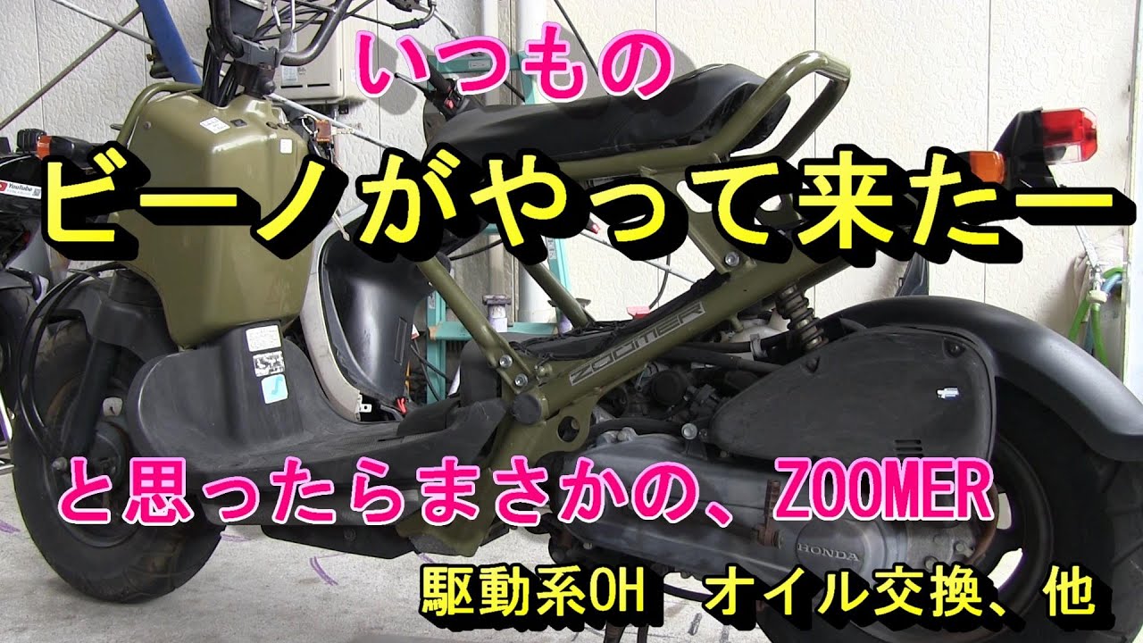 いつものビーノがやって来たーZOOMER？