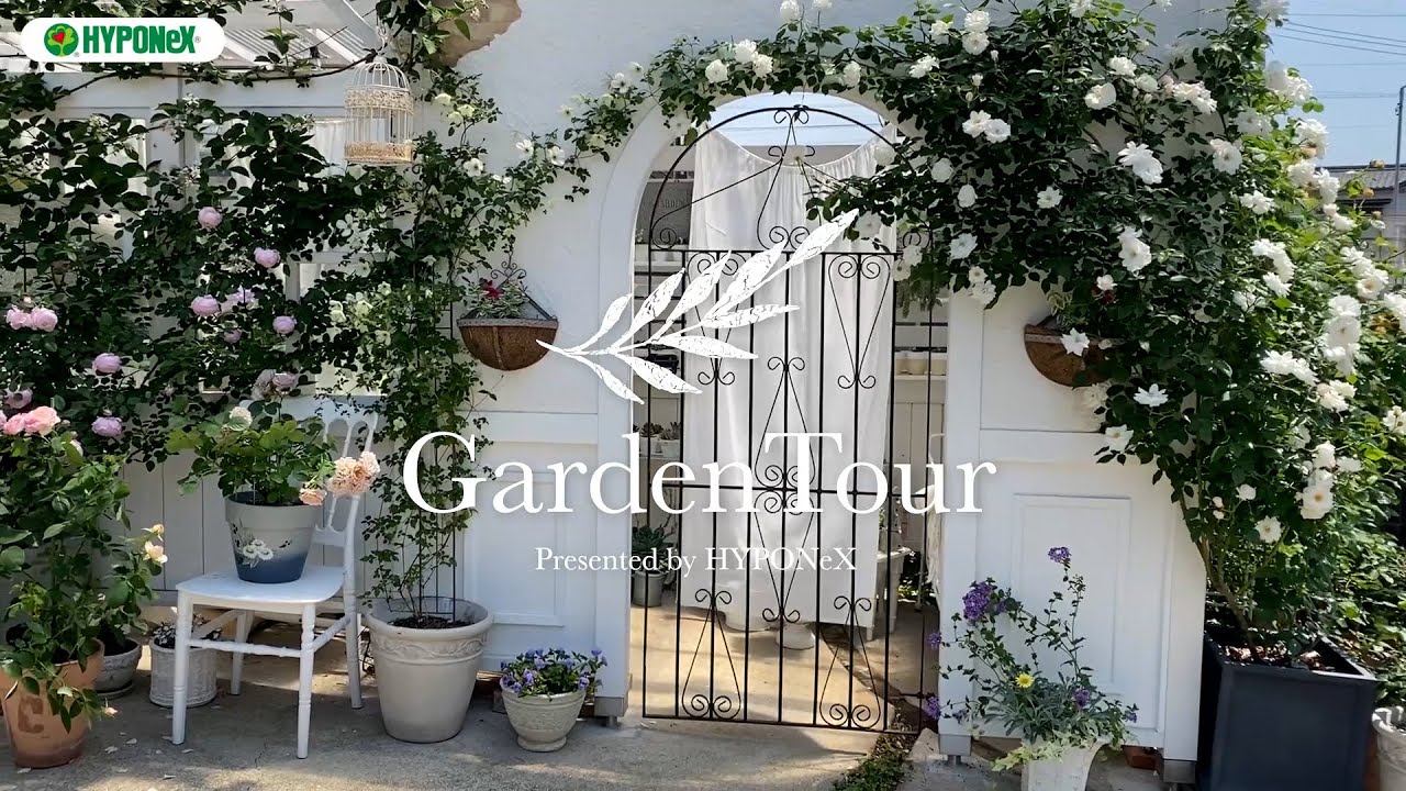 🕊Garden Tour🕊31：ピエールドゥロンサールに感動したのをきっかけに、可愛くて優しい雰囲気の自分が好きなものだけを集めて作り上げたお庭