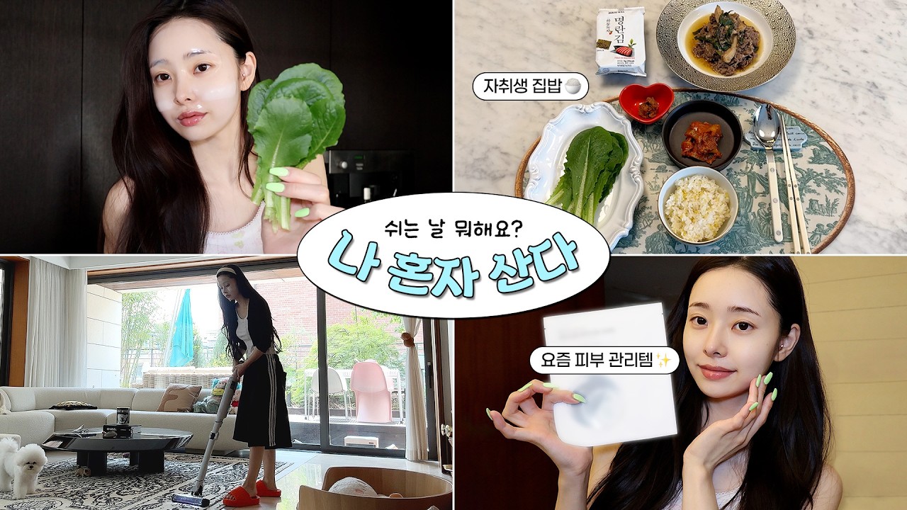 Vlog 혼자사는 프리랜서의 여름맞이 집콕 브이로그☀️ / 자취생 집밥, 넷플릭스 추천