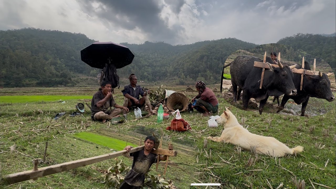 बॅंजो हिले जोत्ना मेला गएको दिऊसै पानी परेर बिजोक #min joi#villagevlog 