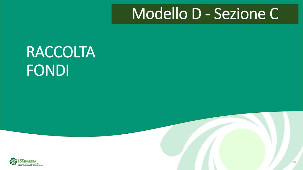 Rendicontazione economica per ETS, il modello ministeriale D: 12. raccolte fondi