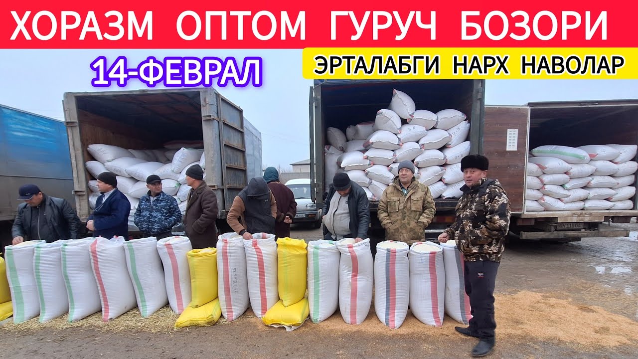 ХОРАЗМ ОПТОМ ГУРУЧ БОЗОРИ ЯНГИ НАРХИ 14-ФЕВРАЛ 2026-ЙИЛ !!! ХОРАЗМ ОБЗОР 
