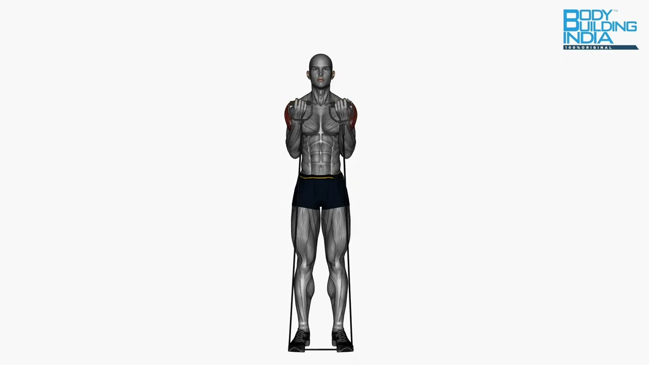 DeltoidsWorkout |Exercise 10| Biceps Curl To Shoulder Press Resistance Band | Bodybuilding India