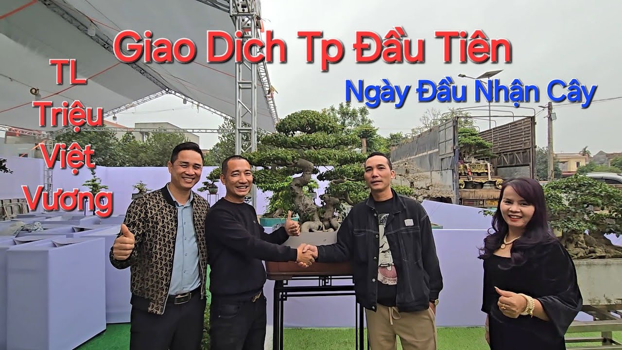 N..Ổ CÂY ĐẦU TIÊN tại ngày đầu nhận cây ở TL TRIỆU VIỆT VƯƠNG - HƯNG YÊN 2026 .