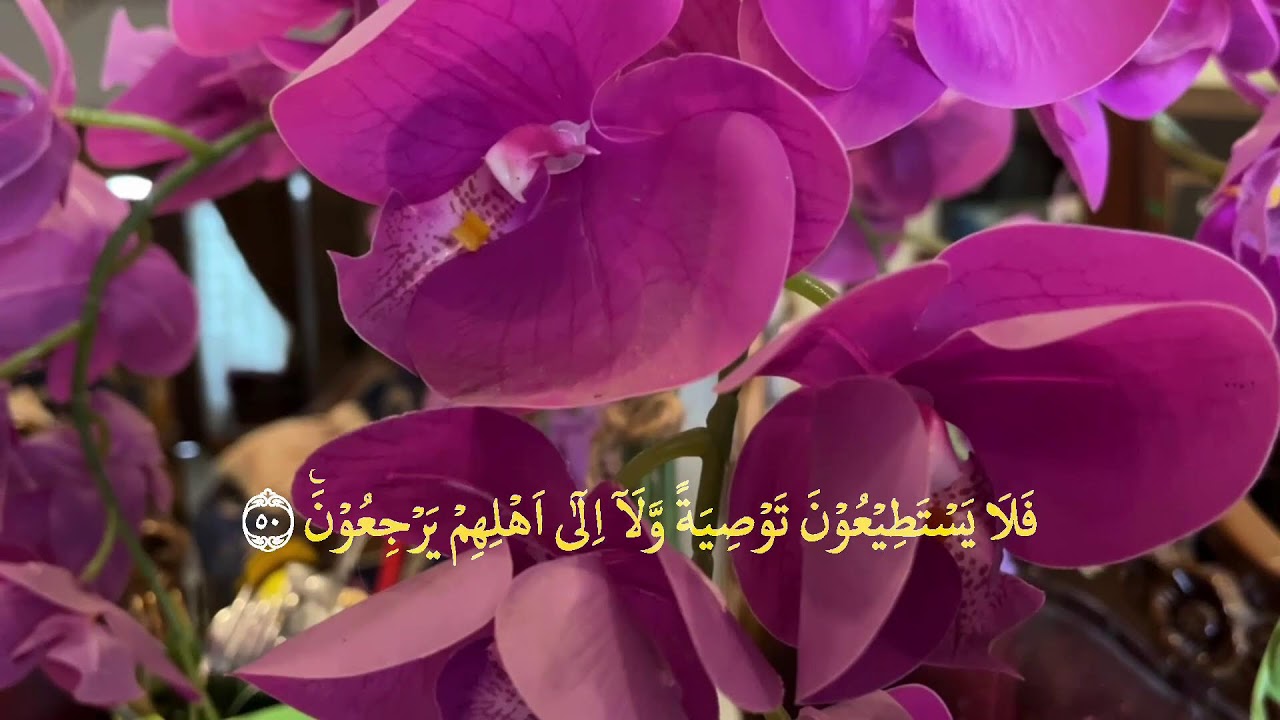 👉 Yosin surasi to‘liq 83 oyat | Yurakni tinchlantiruvchi go‘zal qiroat