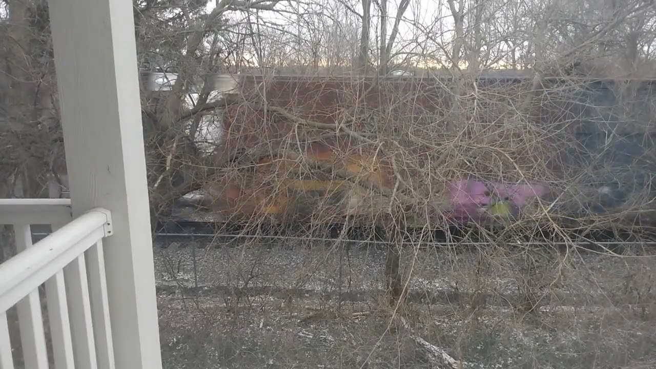 Joe Average CSX