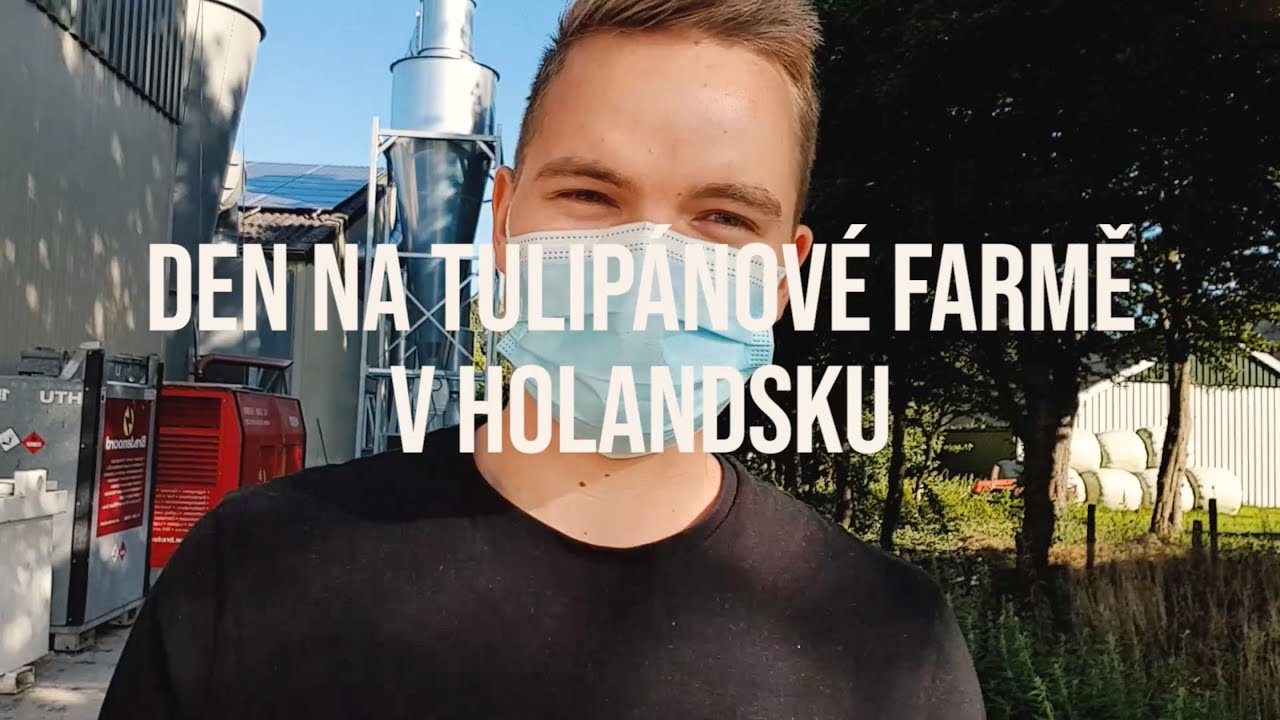 Den na tulipánové farmě v Holandsku