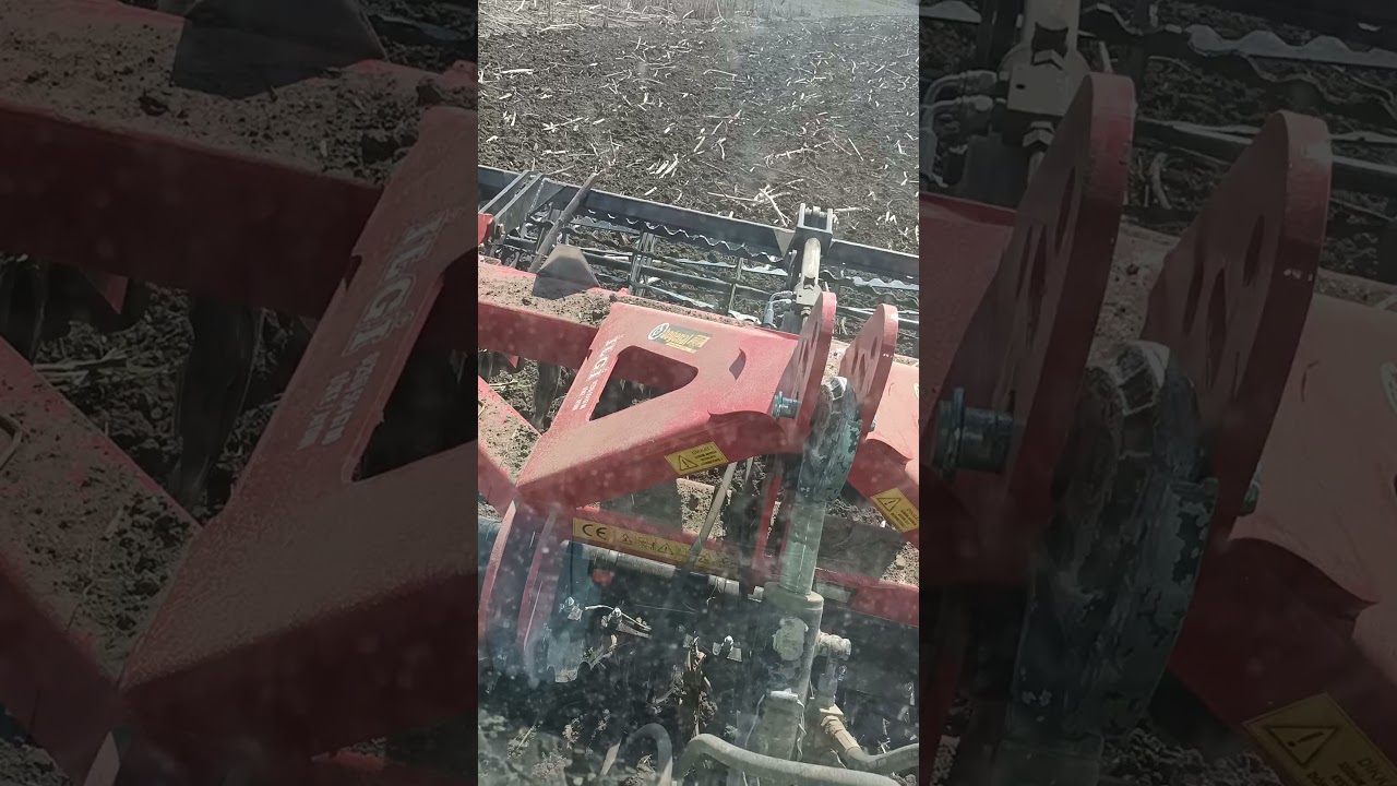 #5090G & İLGİ ARAGON