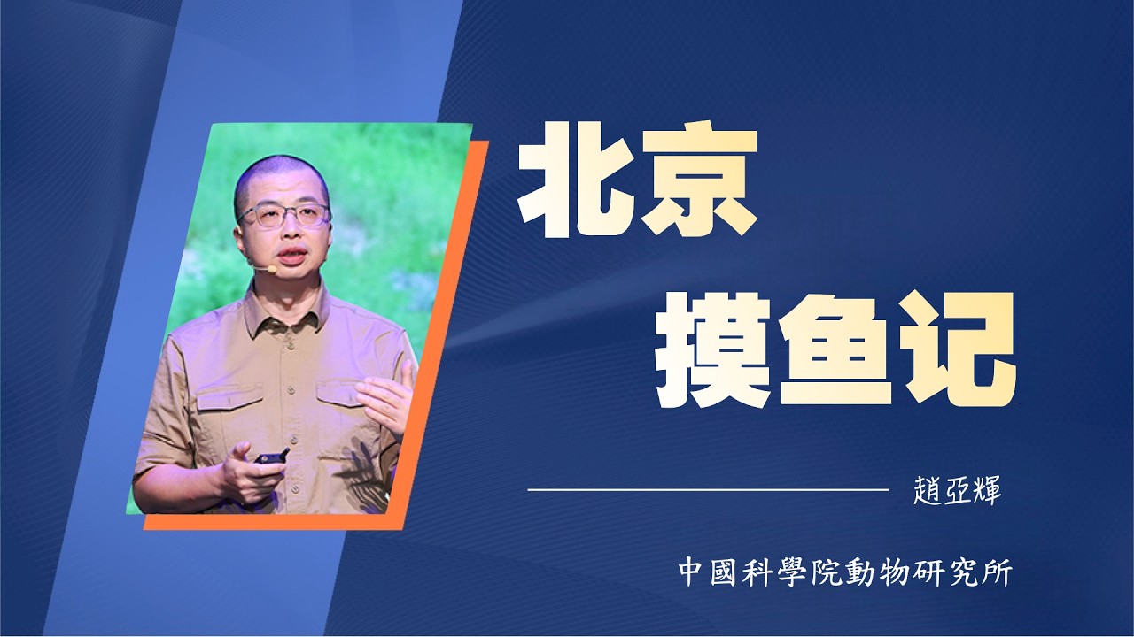 1114｜赵亚辉：北京摸鱼记