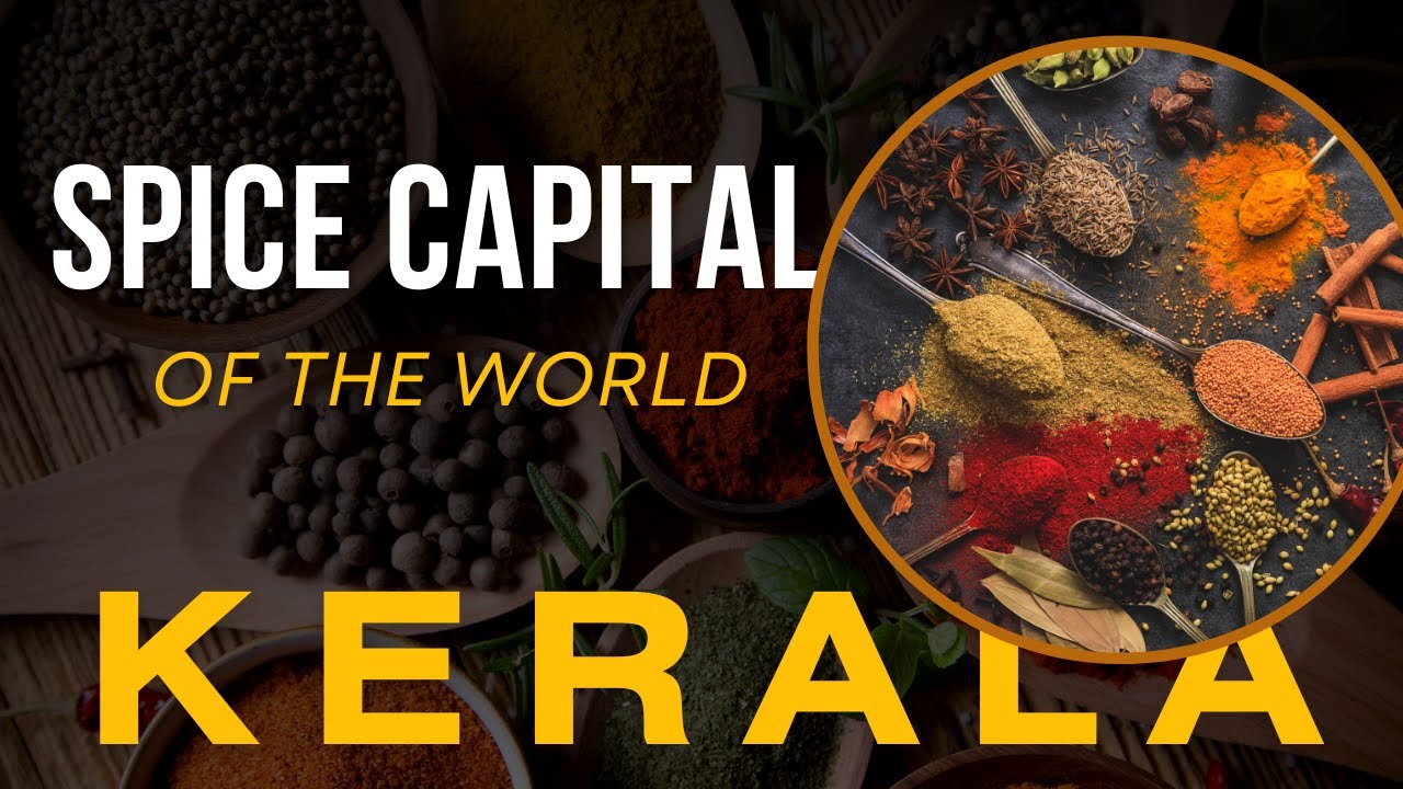 Best Place To Buy Spices In Kochchi Kerala | Spice Capital Of The World | Animesh Mukharjee