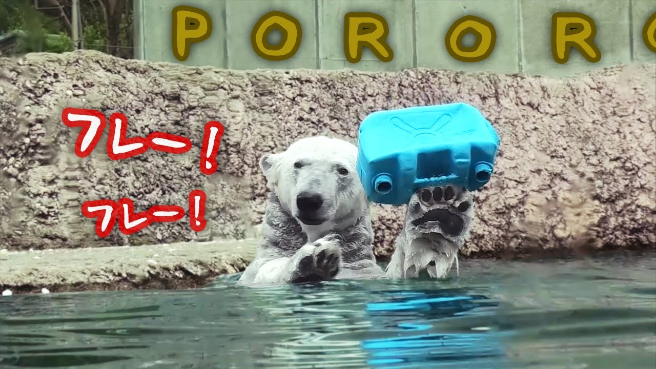 Белый медведь Пороро