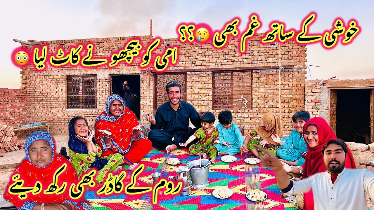 Khushi Achanak Hamen Raas Na Ai ?? 🥲 | Ami Ko Bichho Ne Kat Liya 😳 | Room Ke Gadar Bhi Rakh Diye 