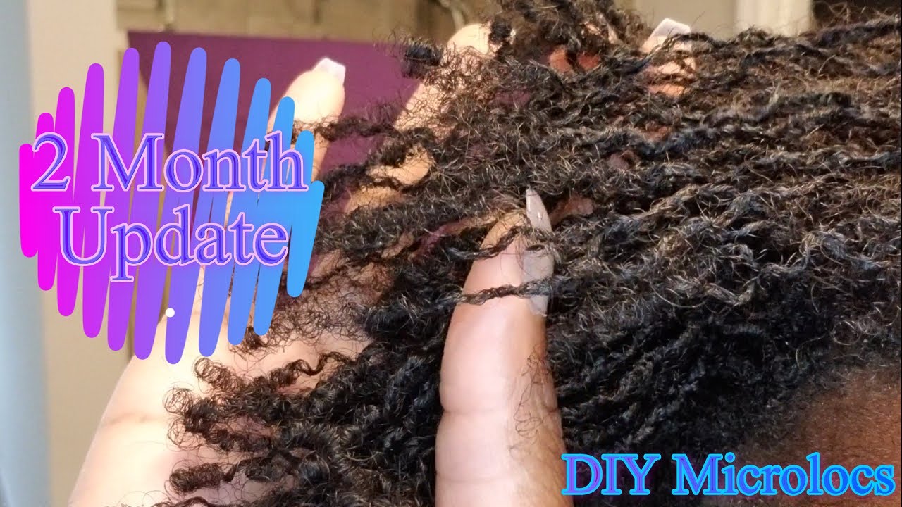 DIY Microlocs | 2 Month Update | Loc Journey | Interlocks