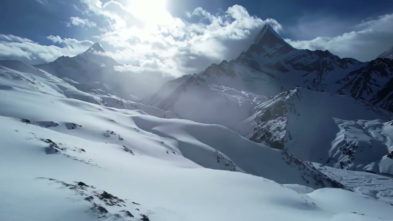 Latest Bollywood Romantic Song 2025 🔥✨🌴 | Dance & Party Anthem | Top Bollywood Hits