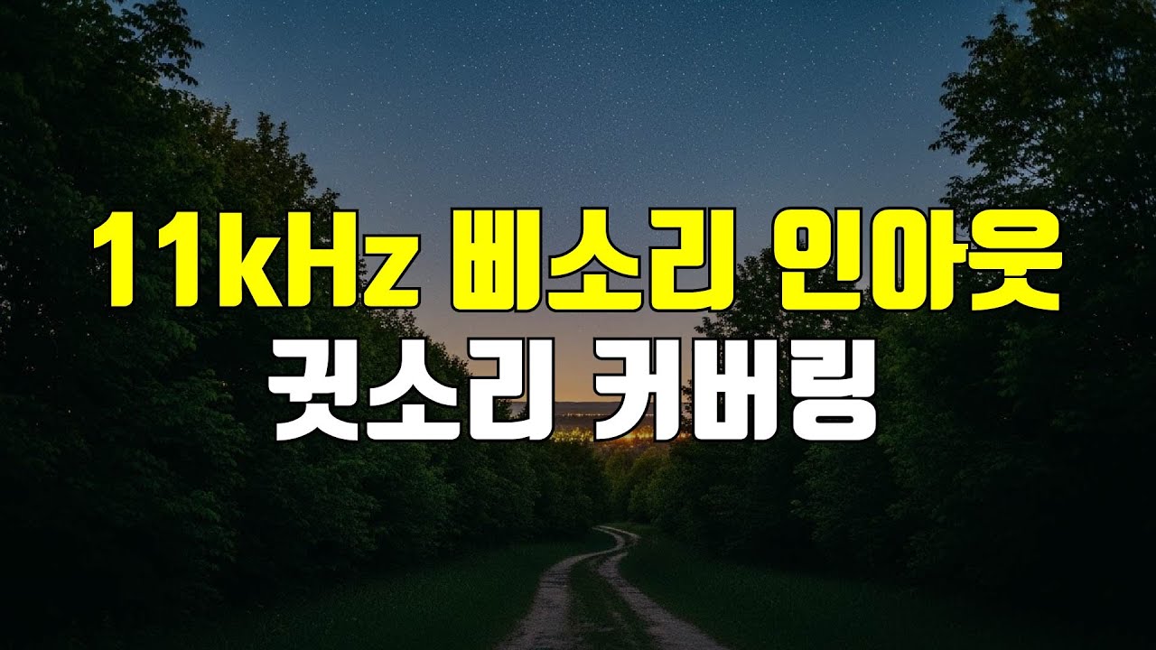 11kHz 삐소리 인아웃 - 귓소리 커버링을 위한 사인파 순음, 저주파 고주파 소리