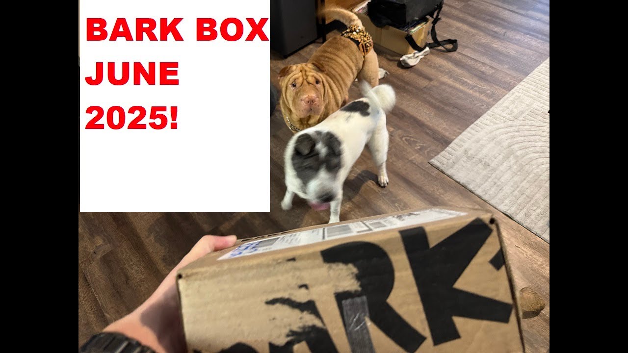 June Bark Box! The EXCITEMENT is real! Lets check this out!!!