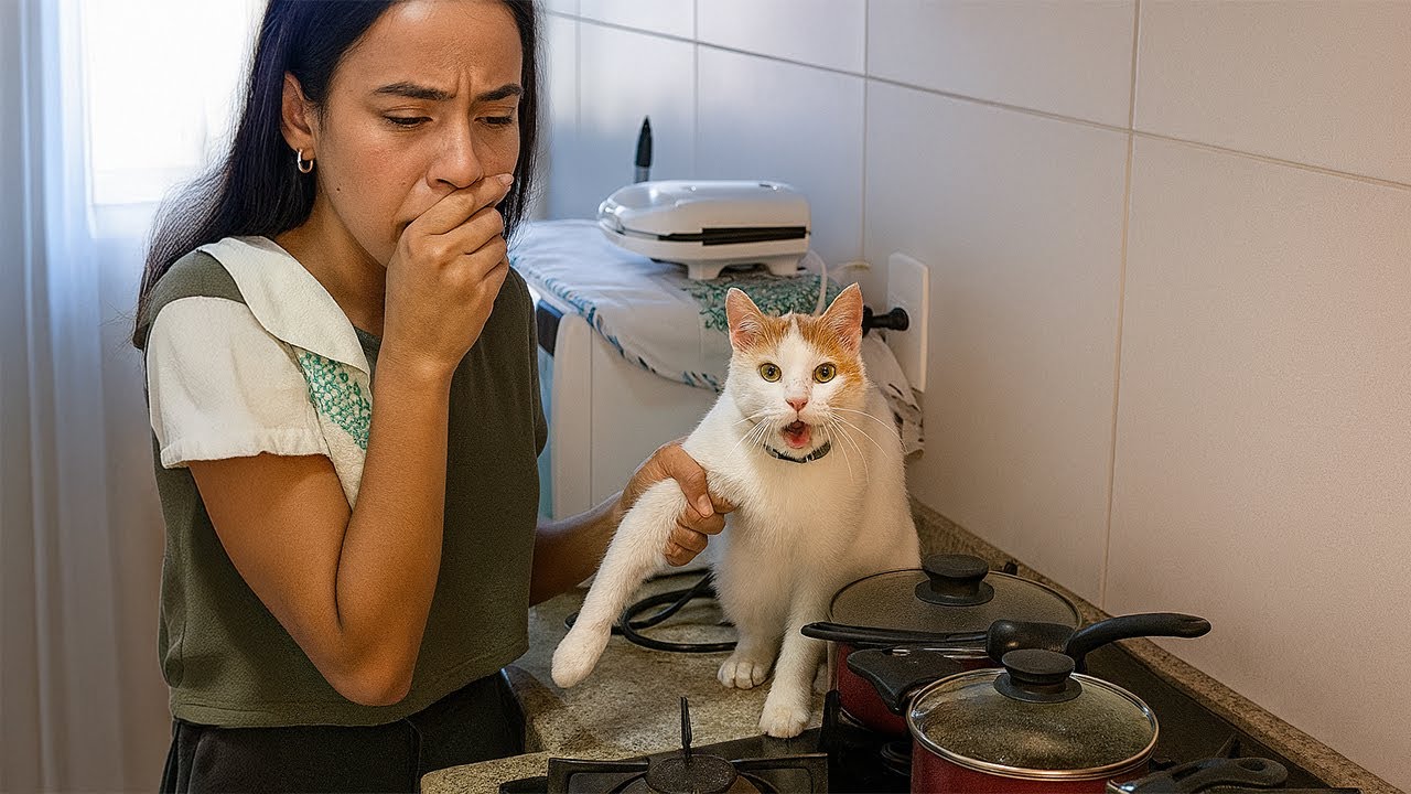 Когда делишь дом с КОТОМ 😂