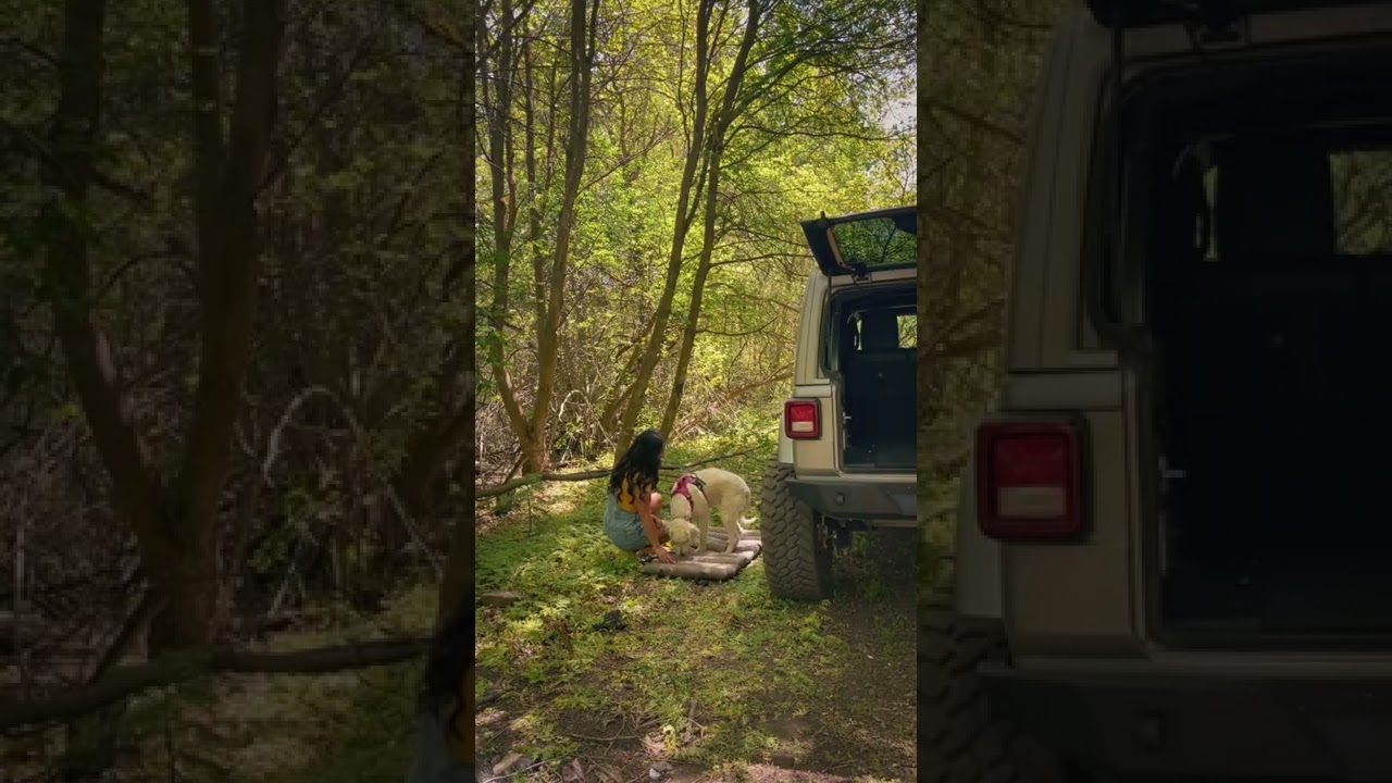 MAVEREK | Backwoods Outdoor Dog Bed