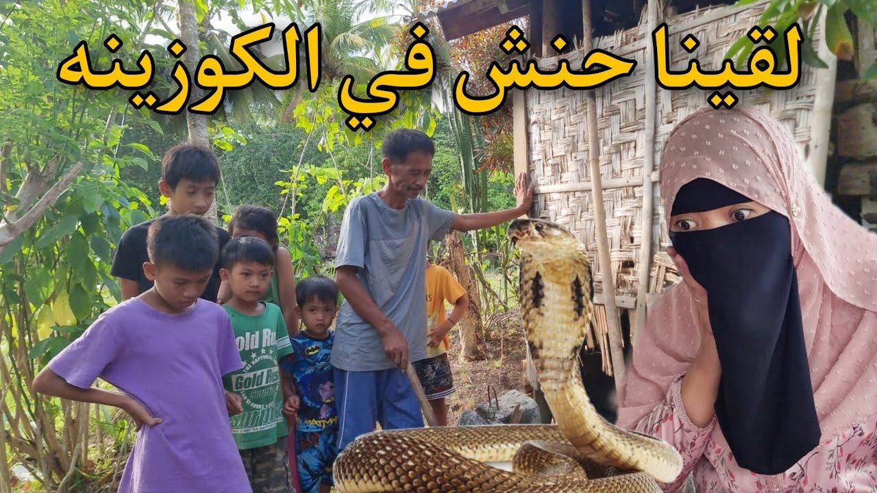 هذه ماشي اول مره 😮‍💨كانلقاو شي افعى 🐍عندنا في الدار يا🛖 ربي تحفظنا🤲🏼