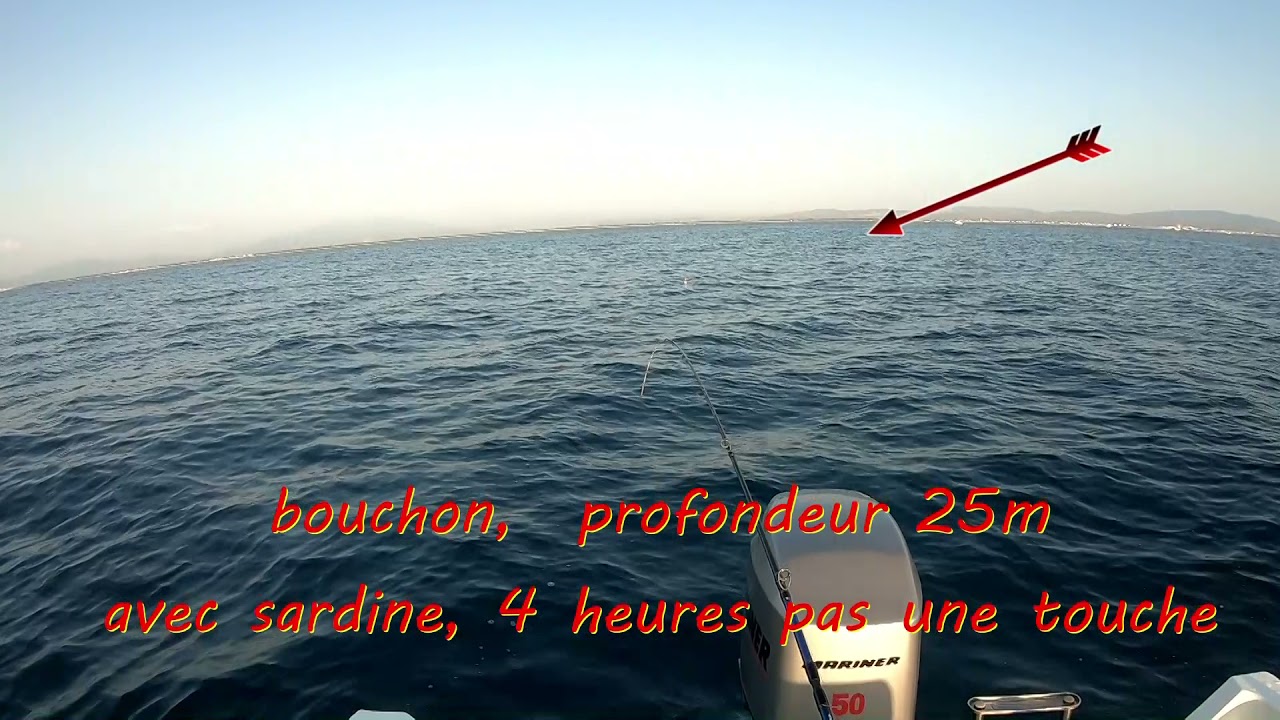 pêche en roussillon au Barcarès