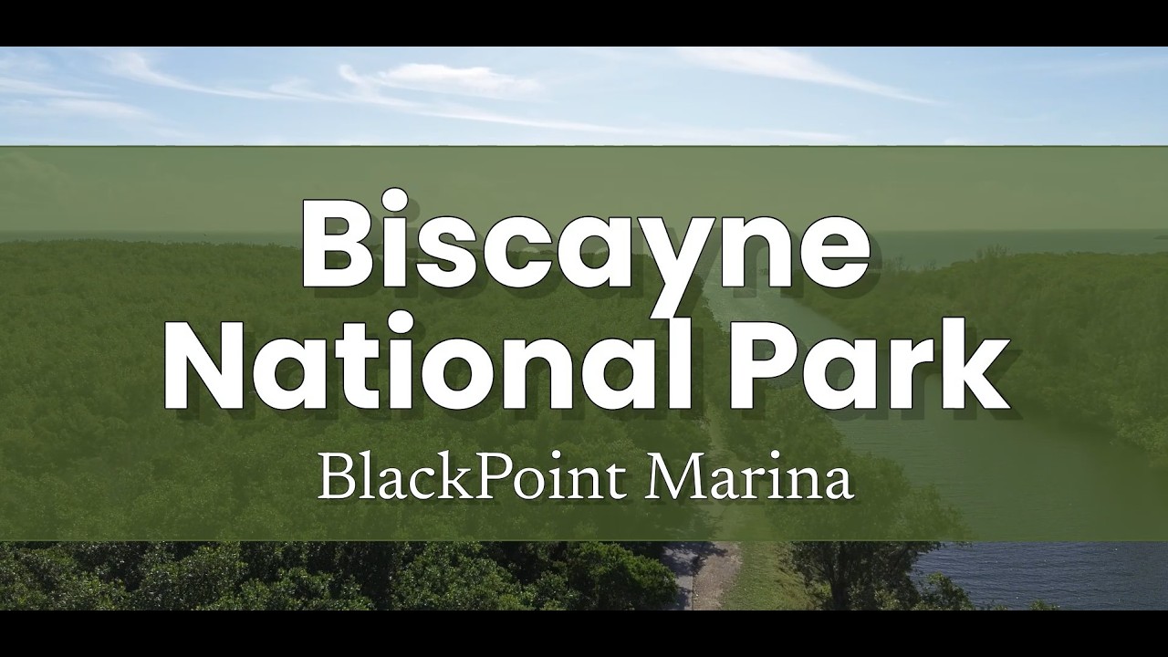 Above The Canopy in South Miami: Black Point Marina