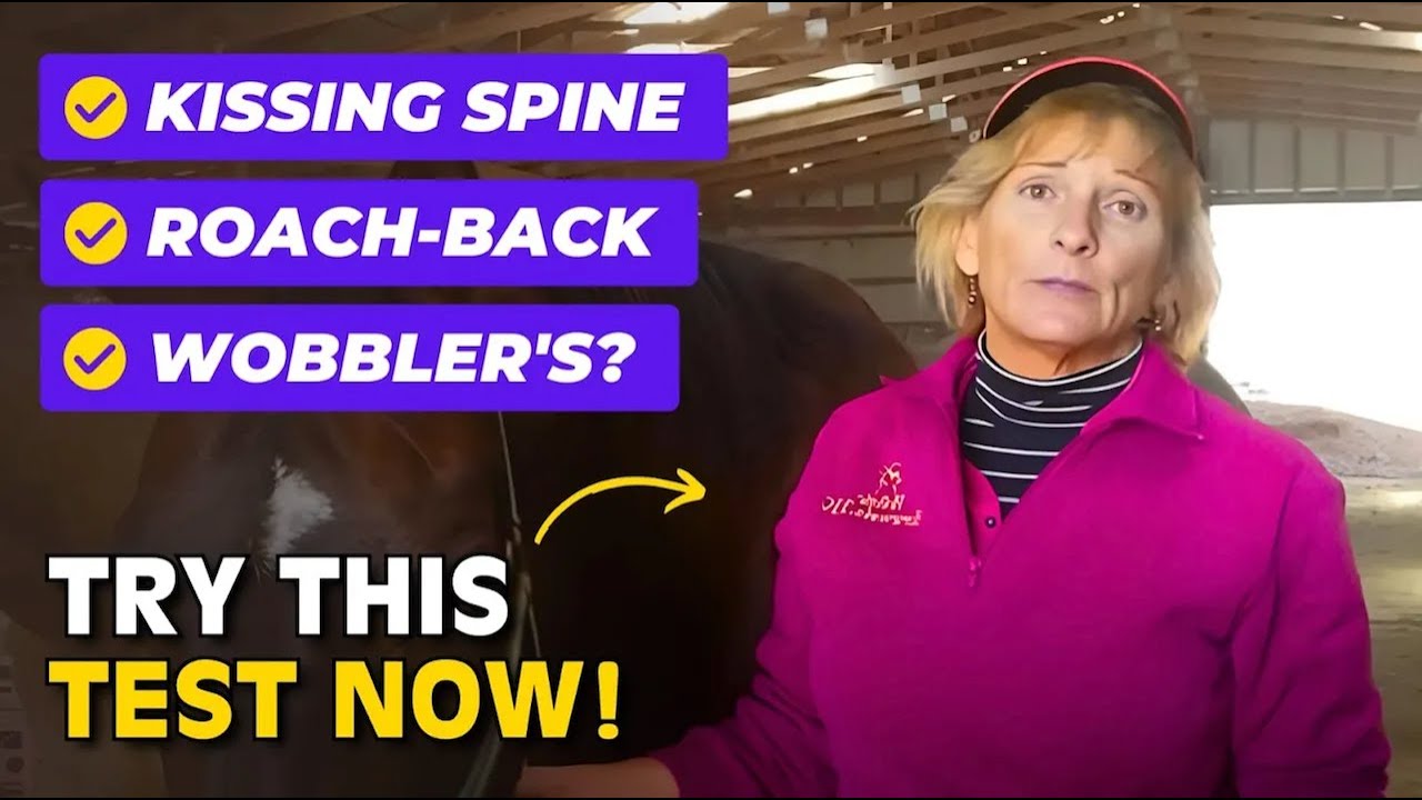 Kissing Spine, Roach-Back, No Top-Line, Wobbler's Syndrome? Do This ONE Test! || Holistic Horseworks