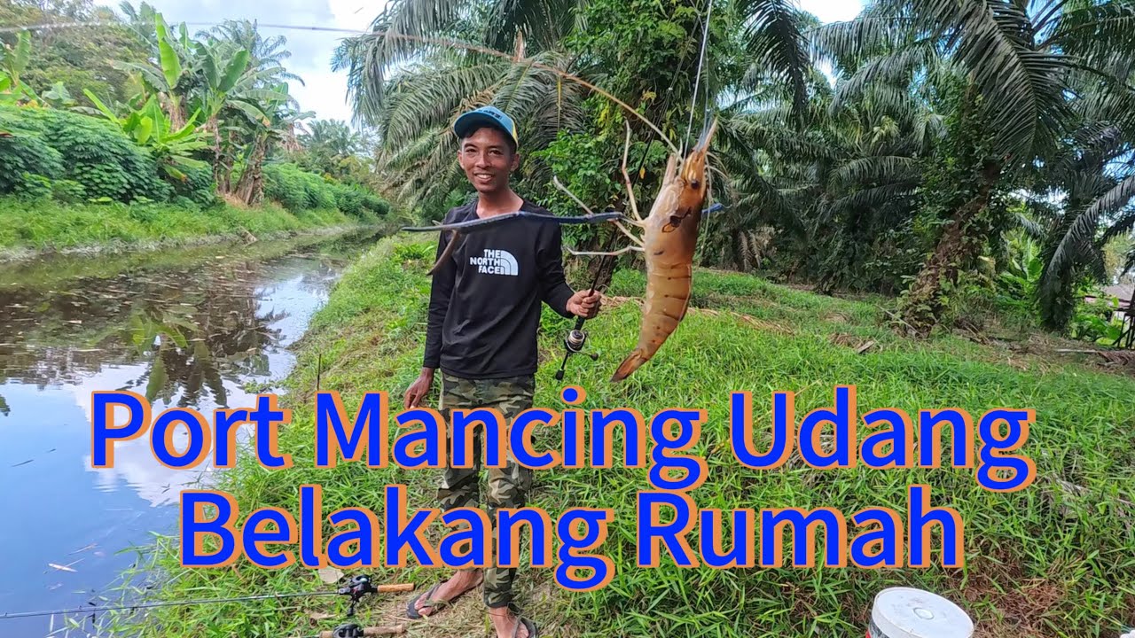 Mancing Udang Galah | Jenggo | Spot Belakang Rumah