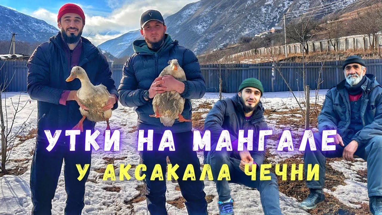 Операция Утка. У аксакала Чечни.