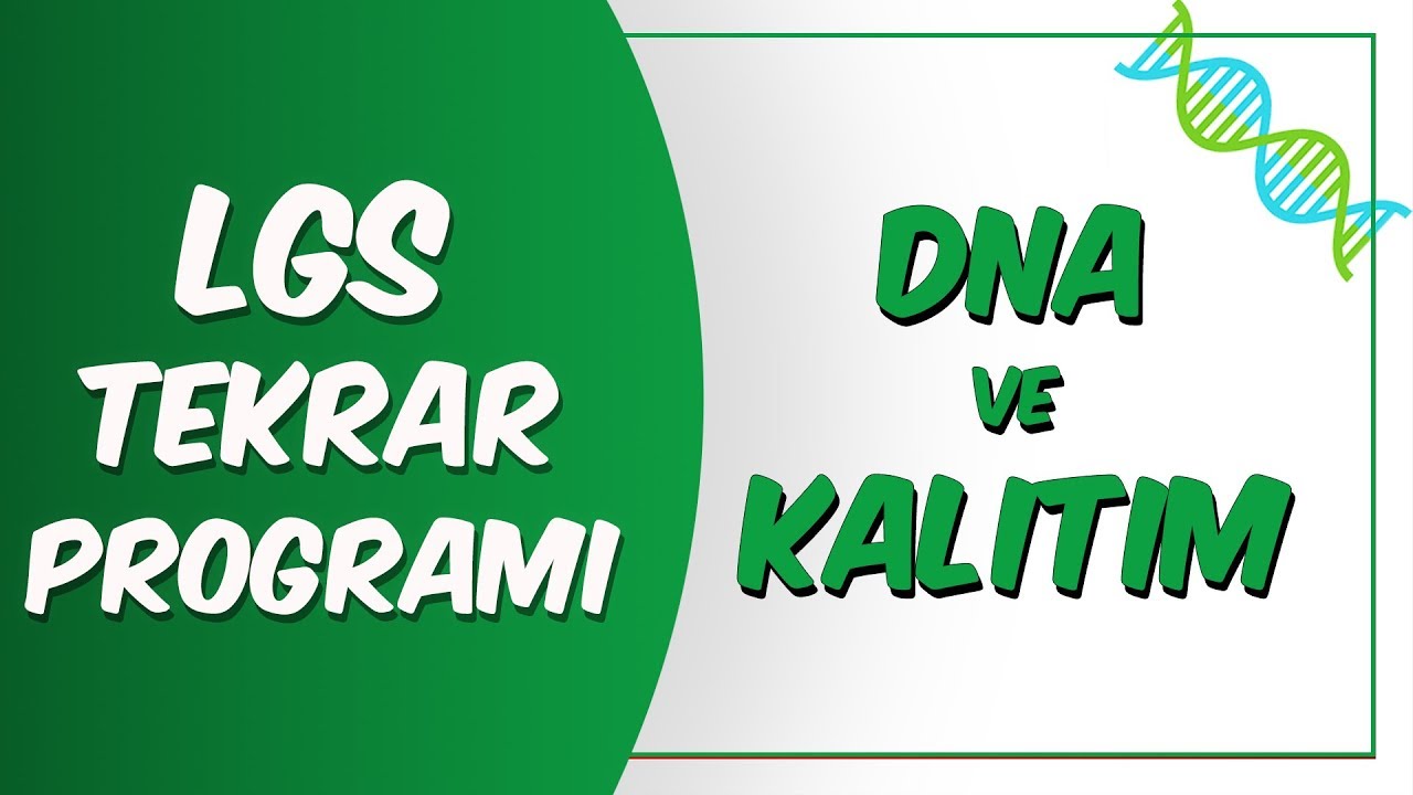 LGS Tekrar Programı Fen | Dna ve Kalıtım