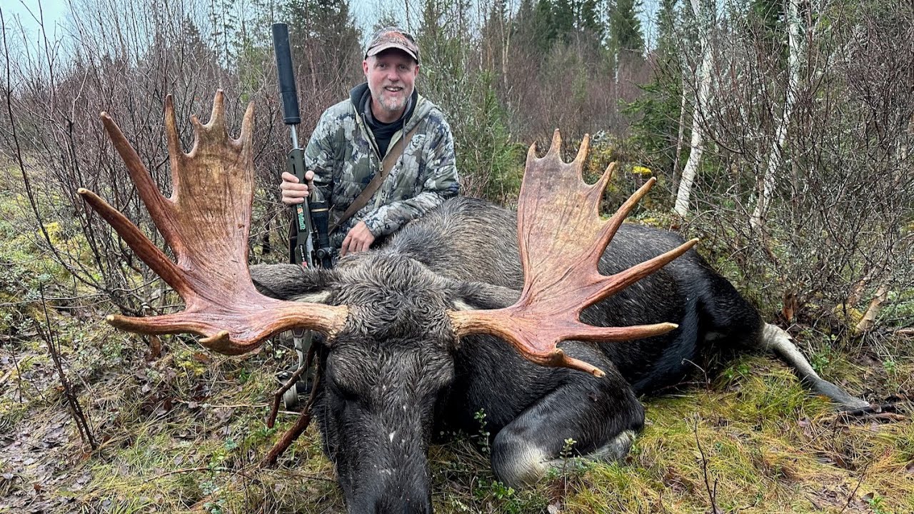 Elgjakt 2025 med Kristoffer Clausen og Bj&oslash;rn Bones. Moose hunting 2025