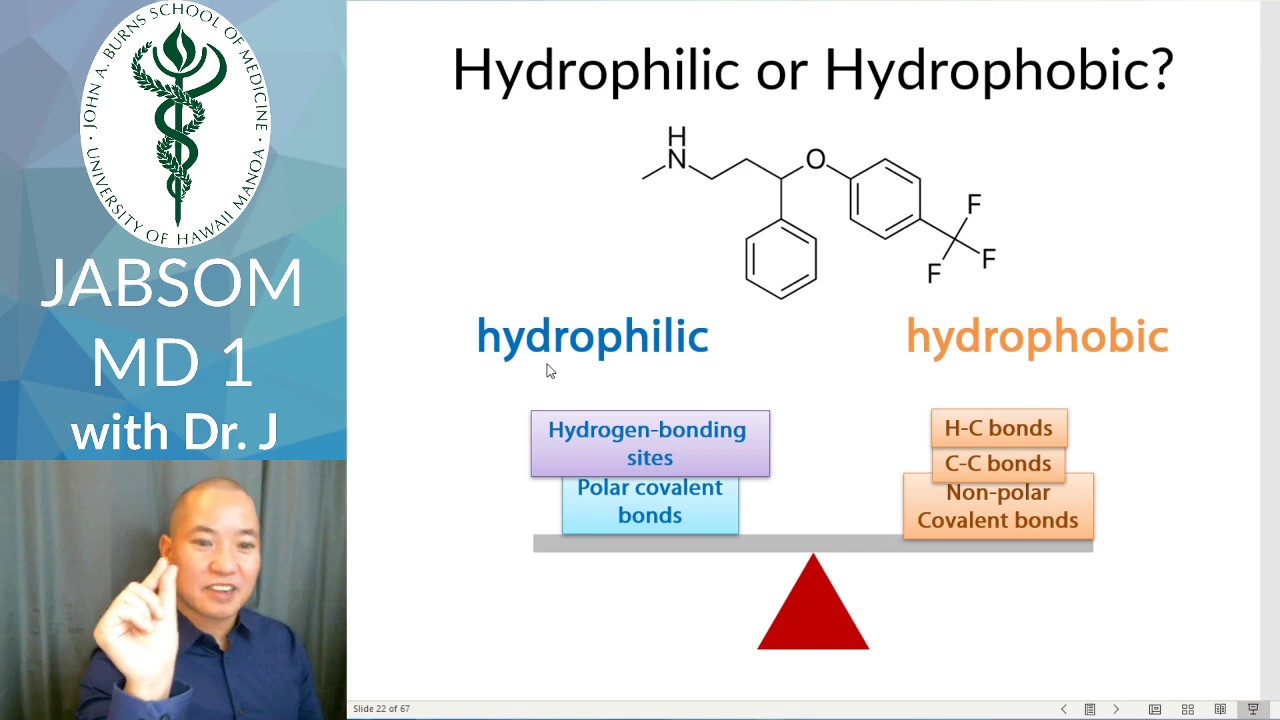 JABSOM MD1 | Intro to Cell Physiology | Pharmacology of Hydrophobic Drugs