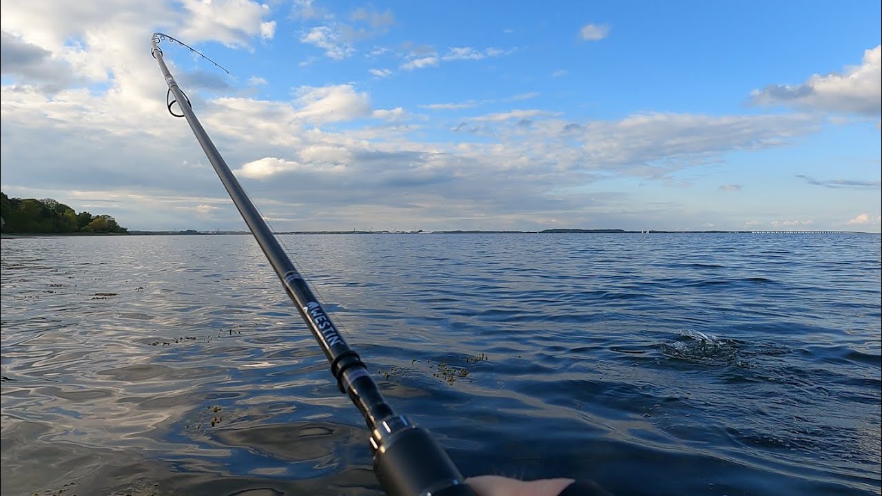 Voderup klit og Borgnæs 🎣 DEL 1  🐟 Ærø 🎥 Havørred fiskeri