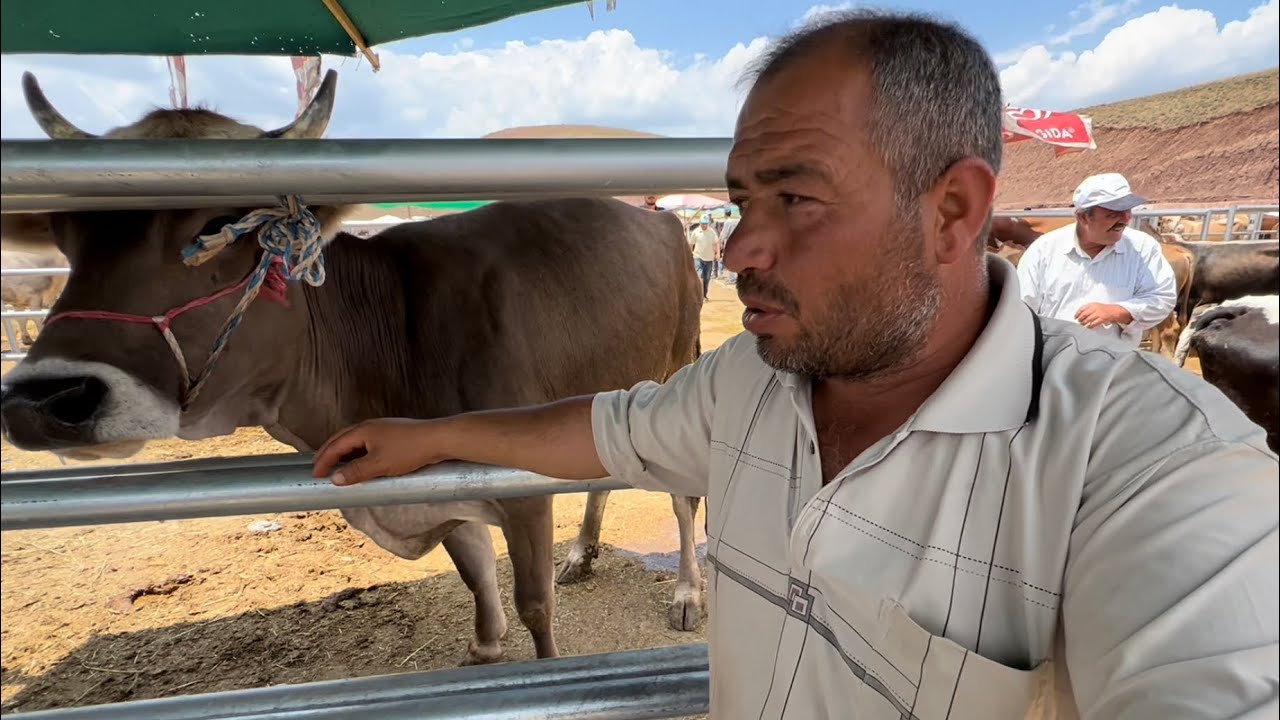 KURBANLIK SATICISI İSYAN ETTİ
