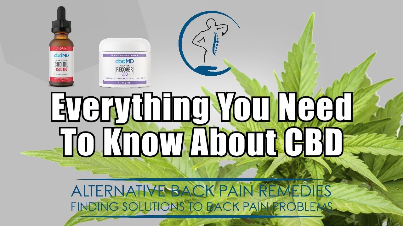 All About CBD | CBD For Back Pain | What is CBD? | CBD Dosage | Oils, Creams, Tinctures, Edibles