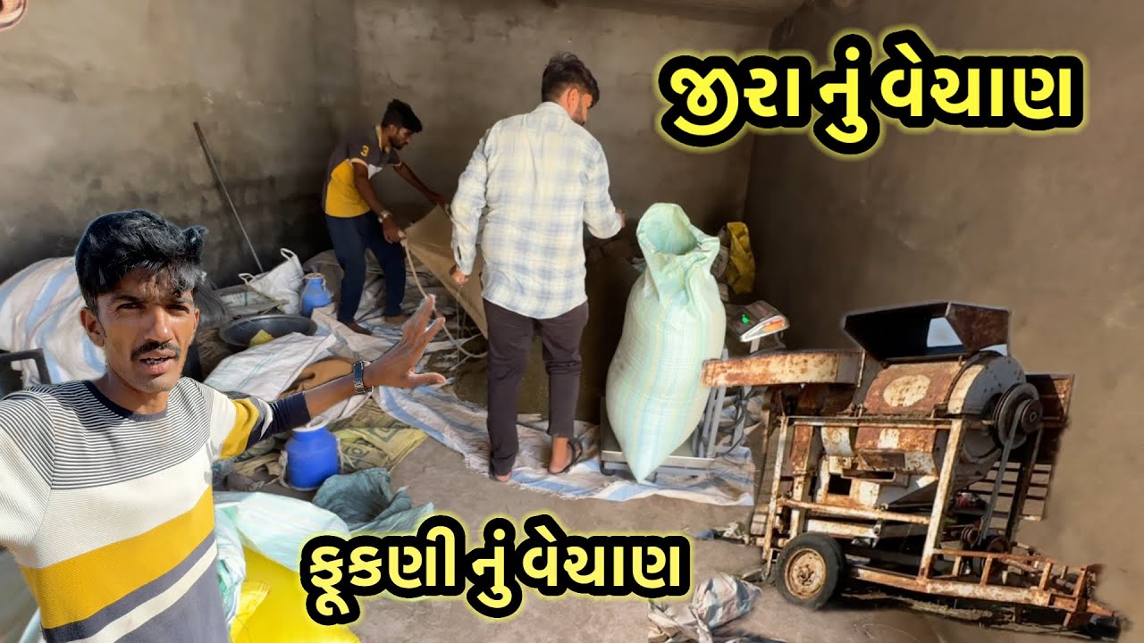જીરું અને ફૂકણી બેય વેચી નાયખા || village life 