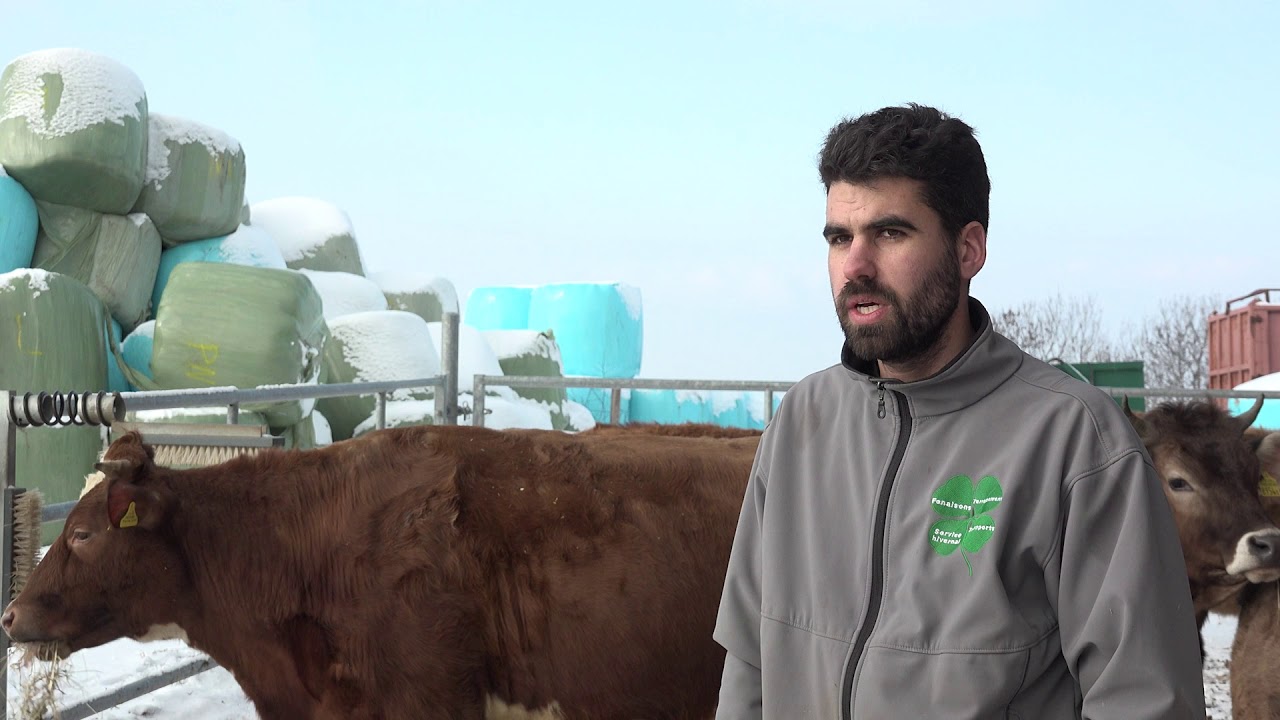 Johan Viret, le bien-être animal et les robots de traite