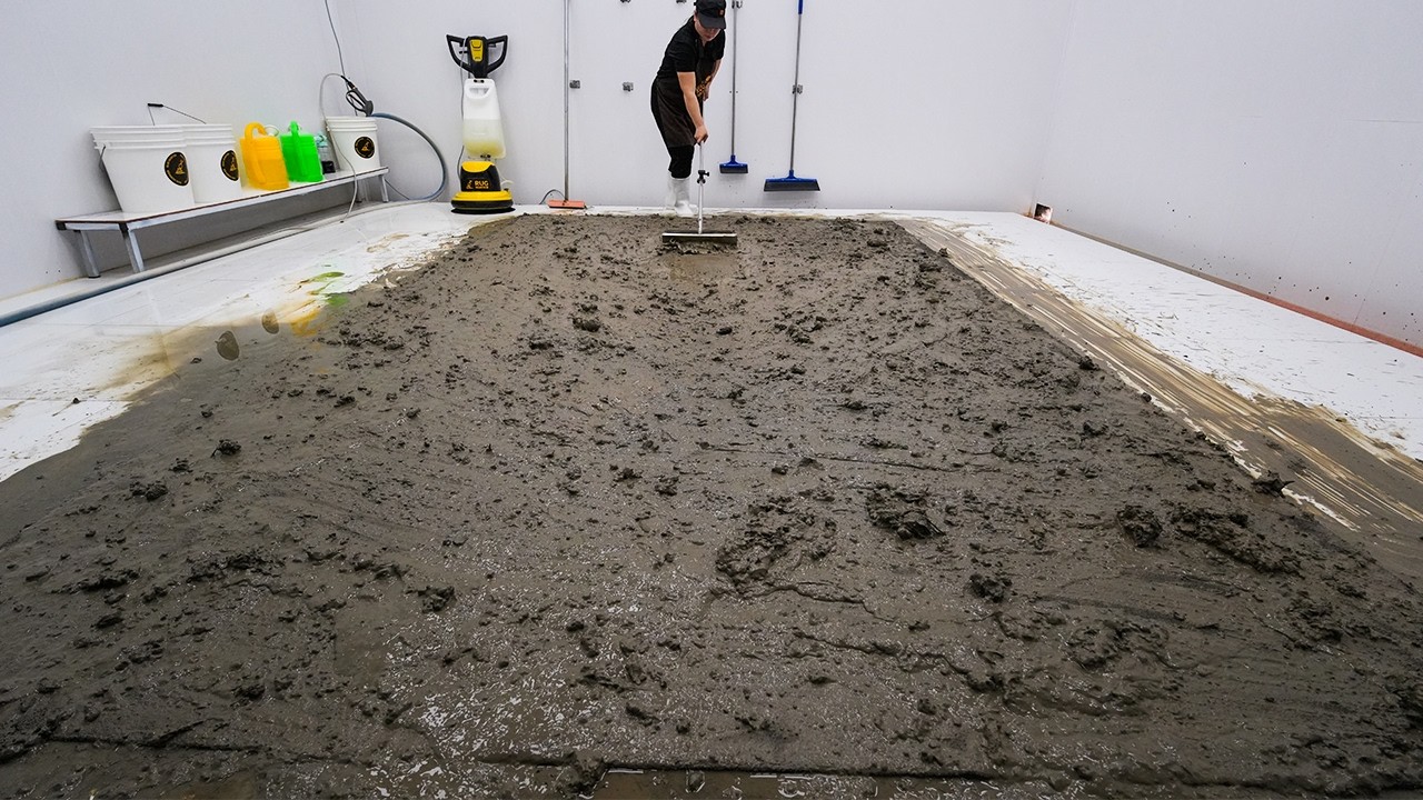 11x10ft Giant Rug Hiding Under Thick Mud!... Extreme Satisfying Cleaning XXL Luxury Rug